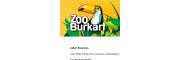 zoo-burkart.com